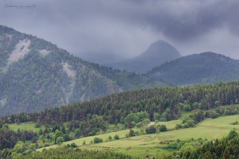 Mont Gerbier des Joncs - Ardèche