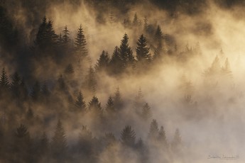 Haute-Loire