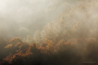 Unveiling Colors - Cantal