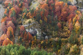 Haute-Loire