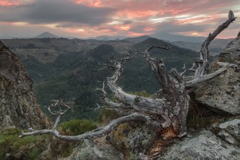 Ardèche