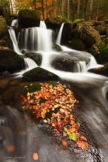 Vallée des Darots - Forez
