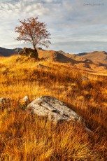 Highlands - Scotland