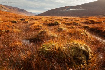 Highlands - Scotland