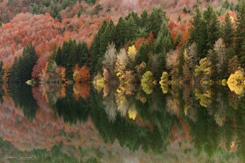 Lac d'Issarlès - Ardèche