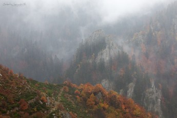 Haute Borne - Tanargue