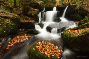 Vallée des Darots - Forez