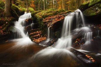 Vallée des Darots - Forez