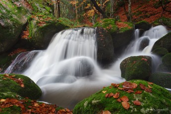Le Gourlong - Haute-Loire