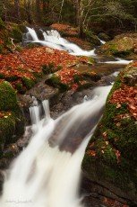 L'andrable - Haute-Loire